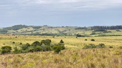 Campo 26 has sobre camino los Molles