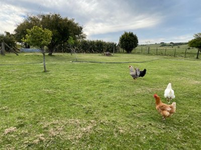 Campo 80 has con casa, cerca de pueblo Edén  