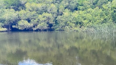 Campo de 11 has en los ceibos con 2 casas a 15 km de Punta del este