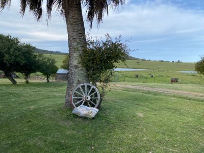 Campo con casa en Pueblo Eden