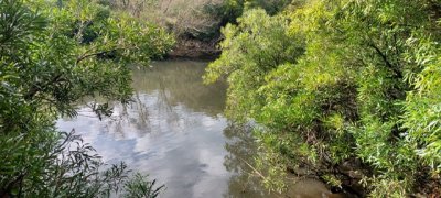 Campo en Carape