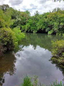 Campo 11 has con 683 m2 en paraje Pueblo Eden