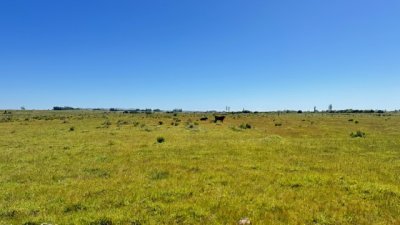 Campo 109 has a 34 km de Punta del Este