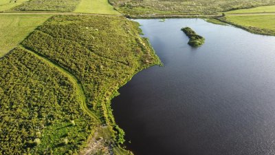 Campo con 300 m  de frente a laguna, cuenta con un islote lugar muy pintoresco.
