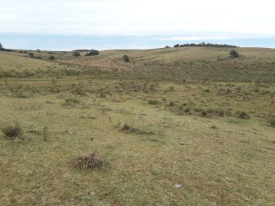 Campo de 6 has en Garzon. Consulte!!!!!!!!