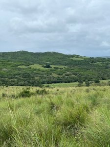 Campo en Paso de la Cantera 