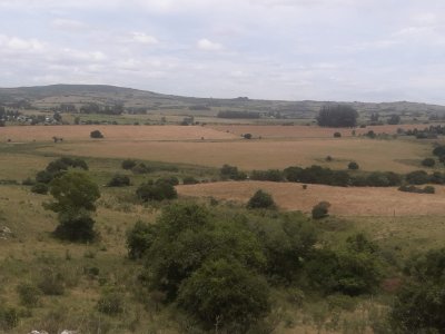 Campo 5 has Cerca de Pueblo Eden - Codigo 5463