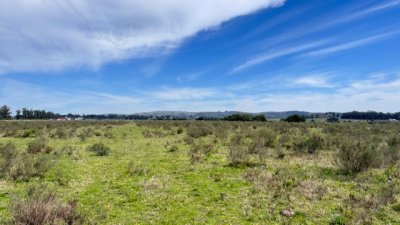 Campo 22 has con costa de arroyo ideal para fraccionar