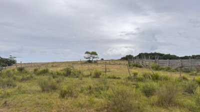 Campo de 78 has en Garzon