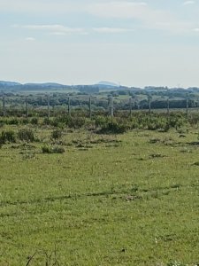 Campo de 5 has en paraje Corte de la Leña