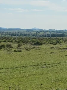 Campo de 5 has en paraje Corte de la Leña