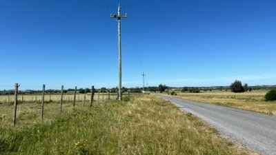 Campo 5 has de invernada a 15 km de San Carlos