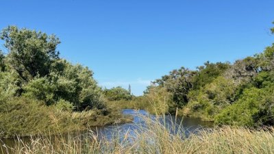Campo en San Carlos, 