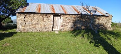 Campo en Rocha hacia ruta 15