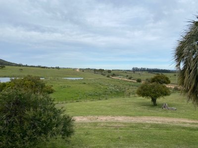 Campo 22 has con casa, cerca de pueblo Edén  