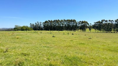 Campo 10 has a 10 km de San Carlos