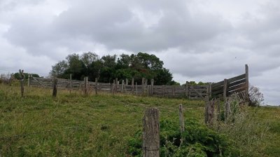 Campo en la coronilla con casco.