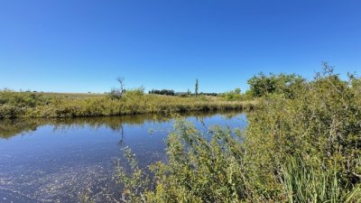 Campo en Paso de la Cantera de San Carlos 