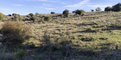 Campo 5 has en Paso Dutra
