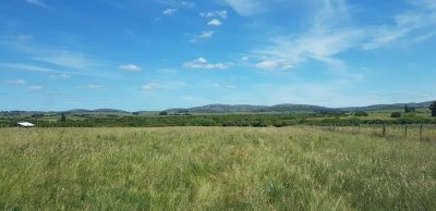 Chacra en las cañas con casa y costa de arroyo.