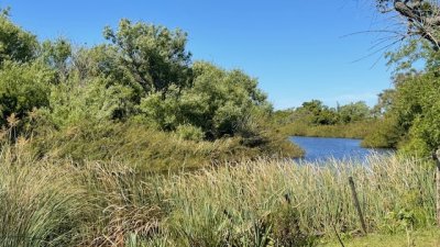 Se venden 3 chacras por separado a 15 km de San Carlos