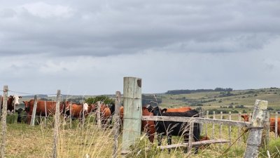Campo sobre camino los molles y Pueblo Garzón.