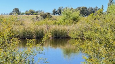 Campo 17 has con 9550 m2 con costa de arroyo