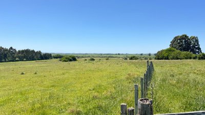 Campo en San Carlos, 