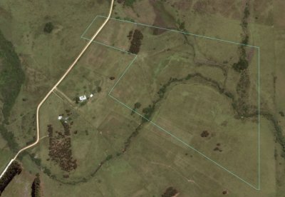 Campo de 48 has con 5545 m2 en Medellin muy cerca de Jose Ignacio. Valor 20000 dolares por Has - Consulte!!!!!!!