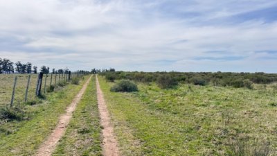 Campo 15 has con costa de arroyo en los Ceibos