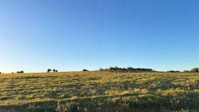 Campo en Lavalleja