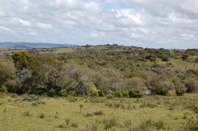 Campo 5 has con casa en Sierra de los Caracoles - Codigo 5379