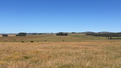 Campo de 54 has con 2059 m2 con suelo agricola-ganadero.