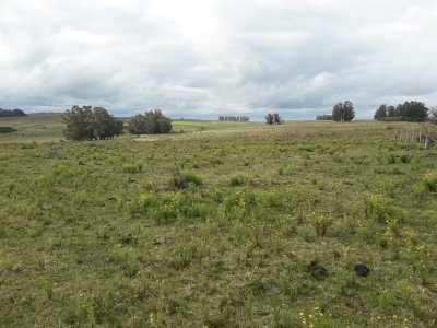 Campo 21 has en Paraje José Ignacio
