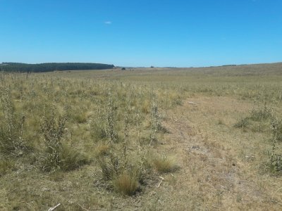 Campo cerca de la ruta 12 y ruta 60