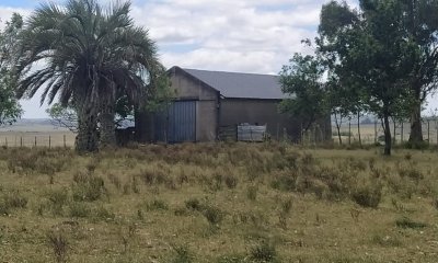 Campo 28 has en Corte La Leña con casa y costa de arroyo.