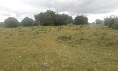 Campo en ,