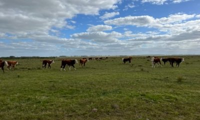 Campo en el departamento de Lavalleja