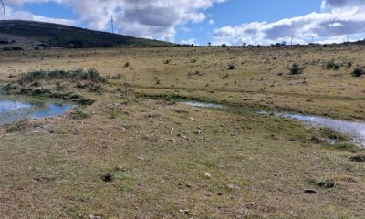 Campo 80 has a 35 km de Punta del Este