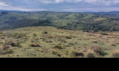Campo de 80 has en Paraje Carape con costa de arroyo.