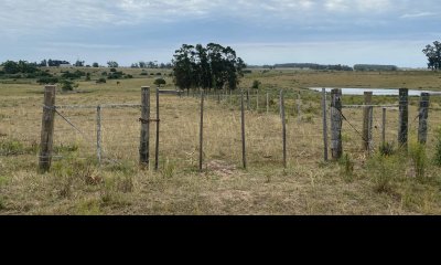 Campo ganadero-agricola
