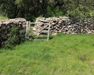 Campo 77 has 4940 m2 cerca ruta 39