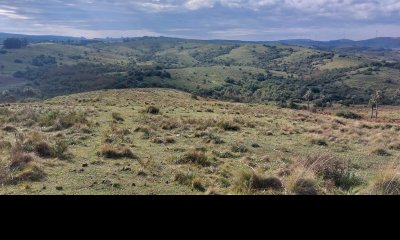 Campo cerca de Aigua