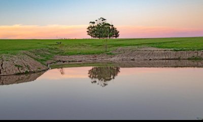 Campo en Jose Ignacio muy cerca de la laguna