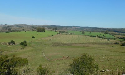 Campo 262 has Pueblo Edén