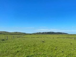 Campo de invernada en Grutas de Salamanca