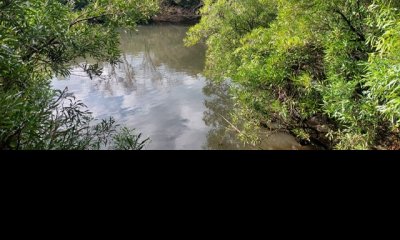 Campo en Carape