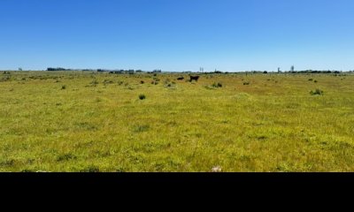 Campo 109 has a 34 km de Punta del Este