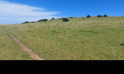 Campo en Aiguá,