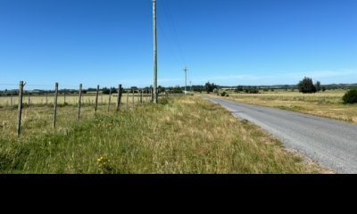 Campo 5 has de invernada a 15 km de San Carlos